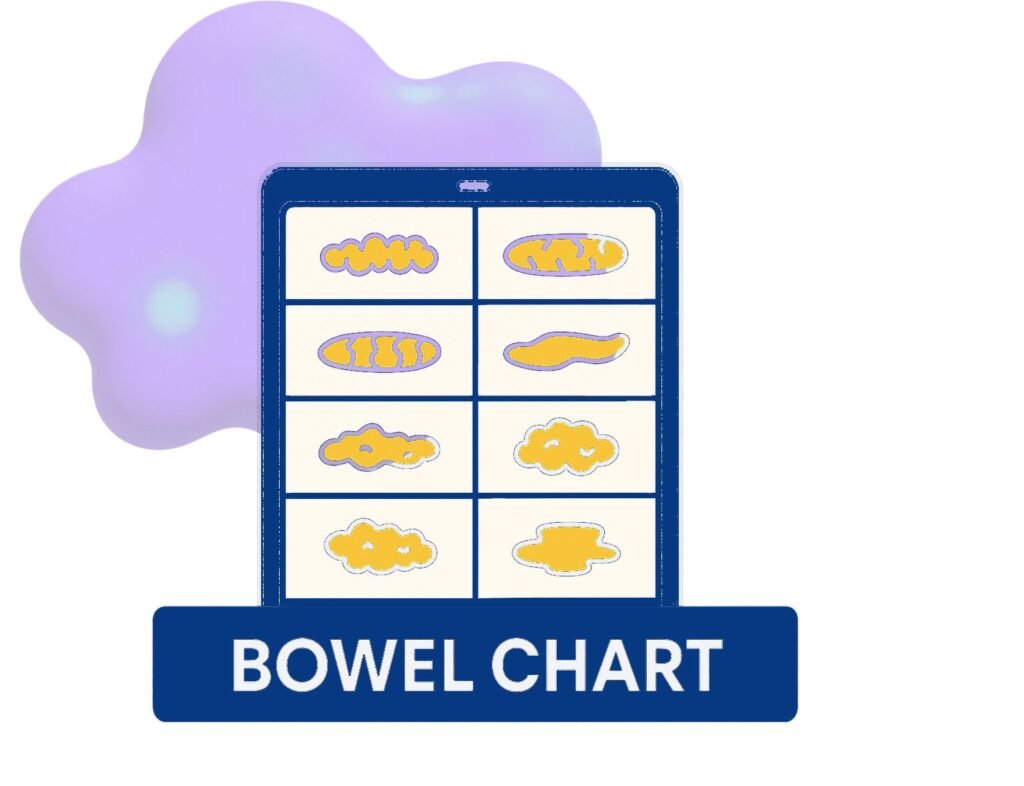 Colorful bowel chart displaying different stool types, labeled with corresponding shapes, set against a soft purple background.